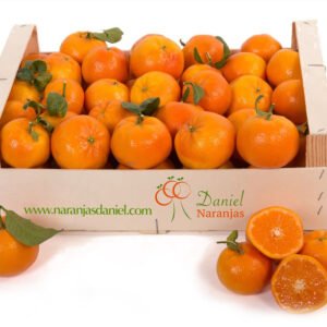 mandarine tango gold