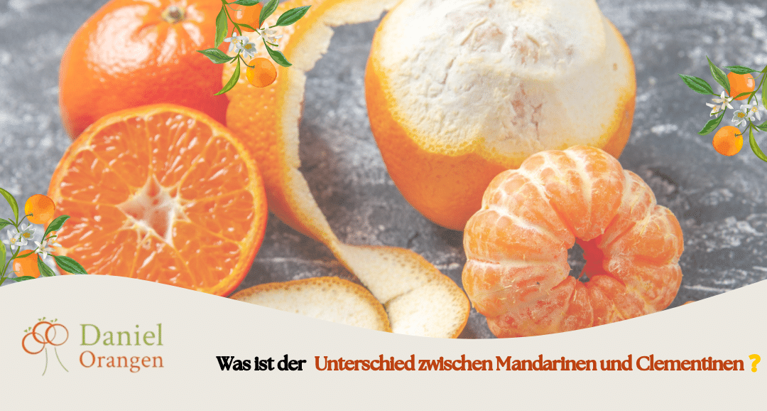 Unterschied zwischen Mandarinen und Clementinen